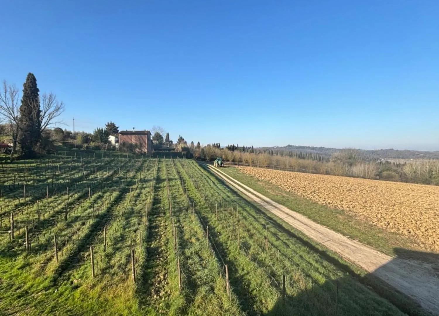 Cascina Del Riccio-Agriturismo Casa Raffaele Ghizzano ロッジ
